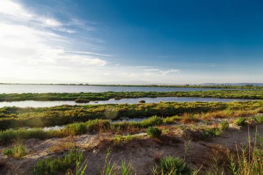 sunrise plajda kıyısında görünümünü