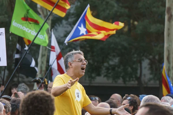 Barcelona Cataluña España Octubre 2017 Personas Apoyo Independencia Catalunya Passeig — Foto de Stock