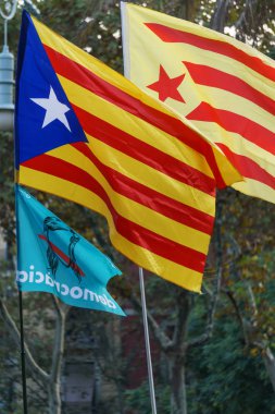 Katalan independentist bayrak. Estelada, tezahürü sırasında yakın
