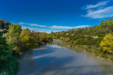 bir orman ve büyük bir nehrin güzel doğal peyzaj