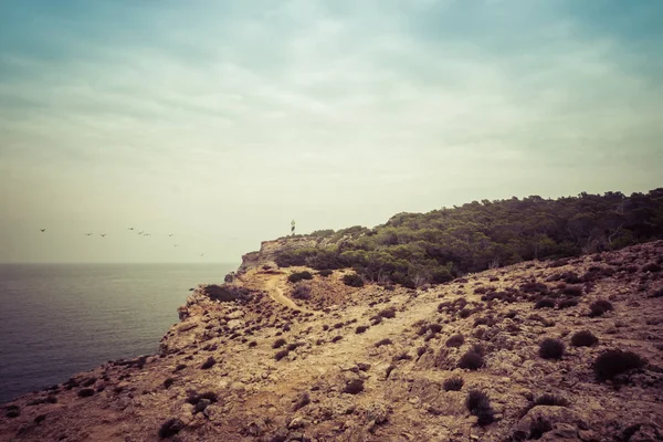 Τοπίο Νησιού Θαλασσογραφία Ίμπιζα Ισπανία Πανέμορφο Πανόραμα Των Ακτών Της — Φωτογραφία Αρχείου