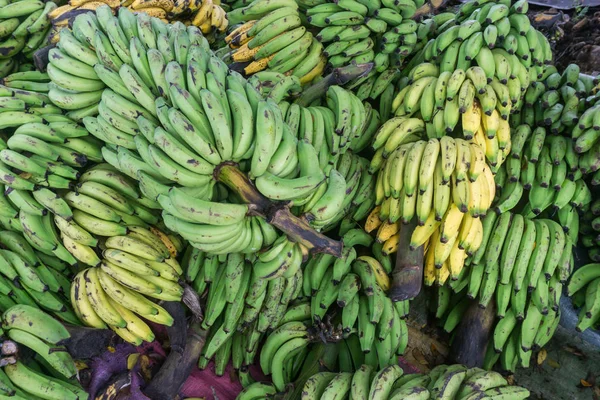 Banany Domu Rolników — Zdjęcie stockowe