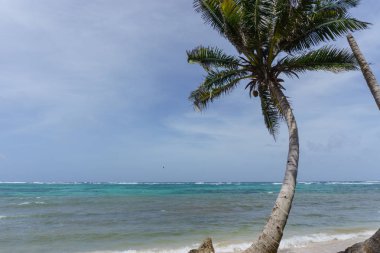 Küçük Mısır Island beach view, Nicaragua