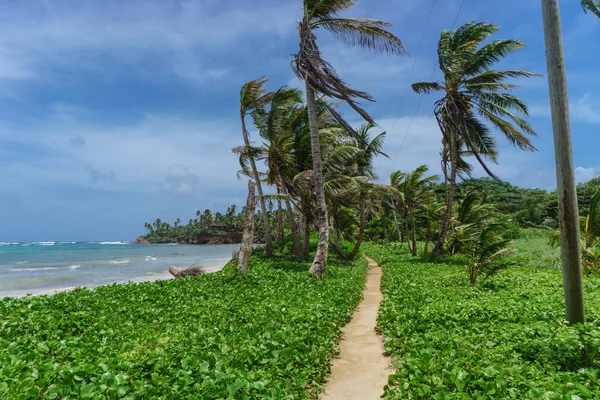 Naturen Little Maisøy – stockfoto