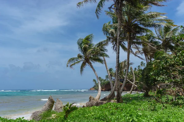 Pequeña Isla Maíz Vista Playa Nicaragua — Foto de Stock