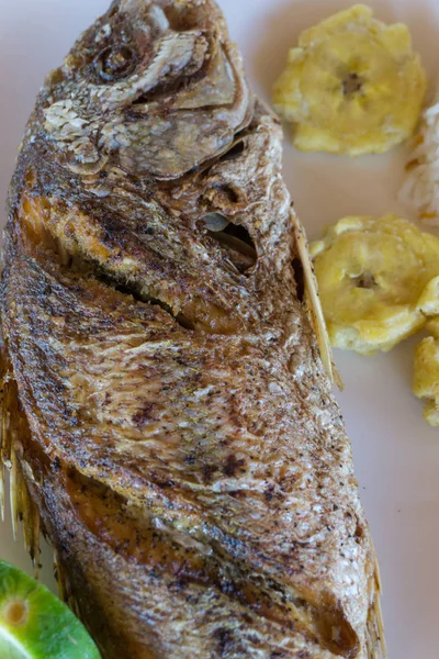 Plate Fried Fish Plantains — Stock Photo, Image