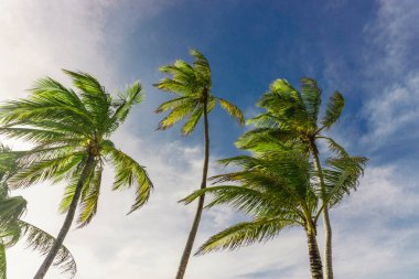 Mısır Island, Nicaragua 18 Ağustos 2016: Mısır Adası, genel seyahat görüntüleri limanda işçi.