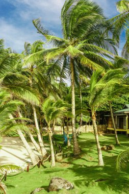 Mısır Island, Nicaragua 18 Ağustos 2016: Mısır Adası, genel seyahat görüntüleri limanda işçi.