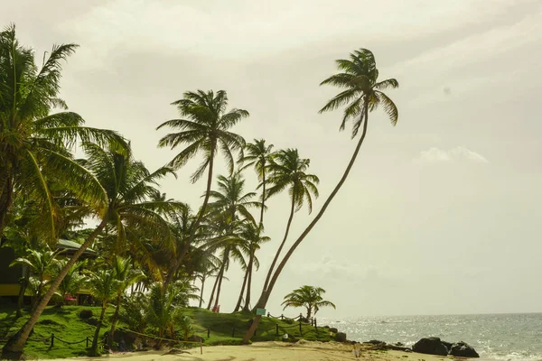 コーン島ビーチビュー ニカラグア — ストック写真