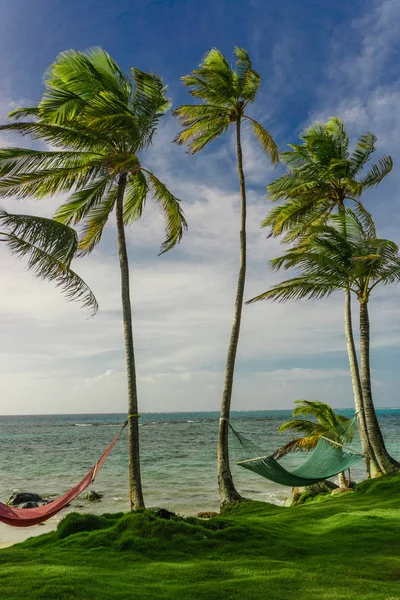Hammock Shadow Palm Tropical Beach — Stock Photo, Image