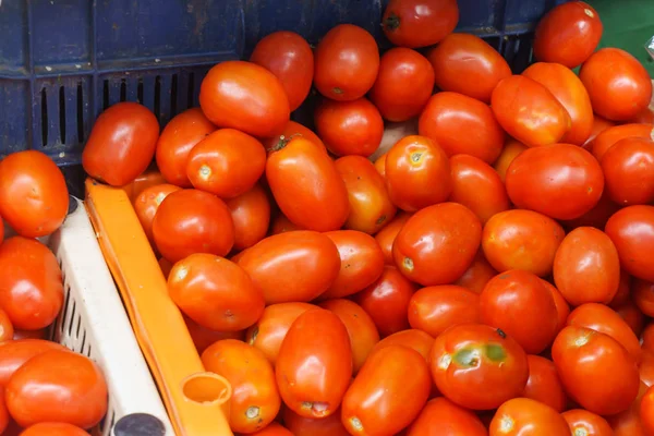 Tomates Rojos Mercado —  Fotos de Stock