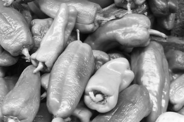 tek renkli ham pepers grubu