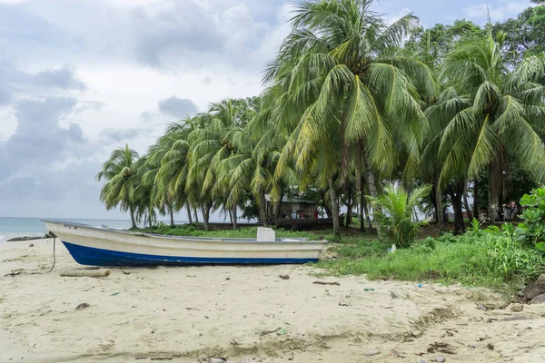 Corn Island Beach Nicaragua — Stock Photo, Image