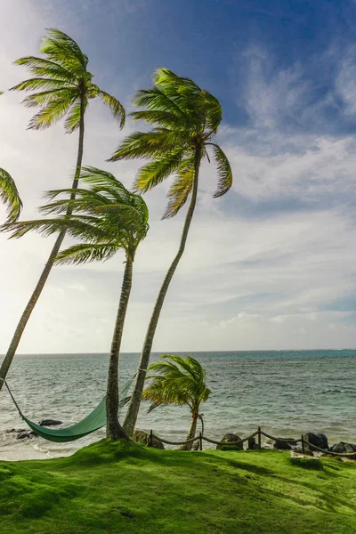 熱帯のビーチにヤシの影でハンモック — ストック写真