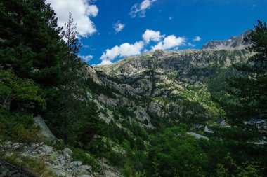 Peyzaj doğal dağ manzaralı Pyrenees yaz, aragon, İspanya
