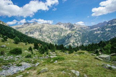 Peyzaj doğal dağ manzaralı Pyrenees yaz, aragon, İspanya
