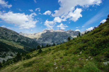 Peyzaj doğal dağ manzaralı Pyrenees yaz, aragon, İspanya