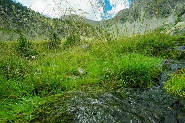 Paesaggio Montano Natura Pura — Foto Stock