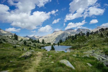 Doğal kahverengi Pelikan