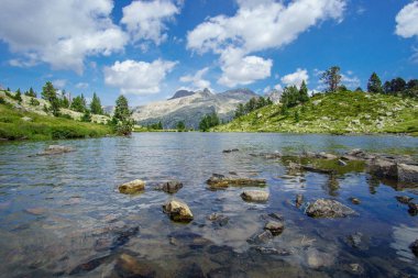 saf doğa, Pyrenees dağ manzarası
