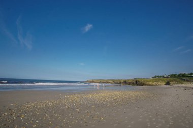 Playa de las catedrais (katedraller beach), Galiçya, İspanya. İspanya Atlantik sahil plaj ünlü turistik hedef. Genel seyahat görüntüleri