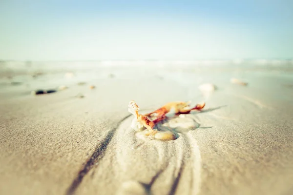 Plage Scène Papier Peint Pierres Sur Sable Avec Mer Concept — Photo