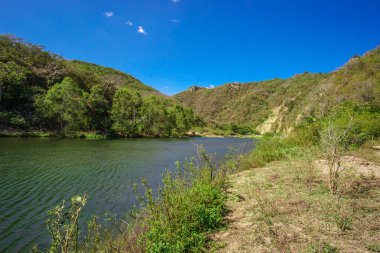 nehir yeşil renkli tropikal ülkede