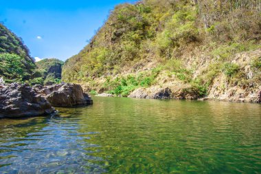 nehir yeşil renkli tropikal ülkede