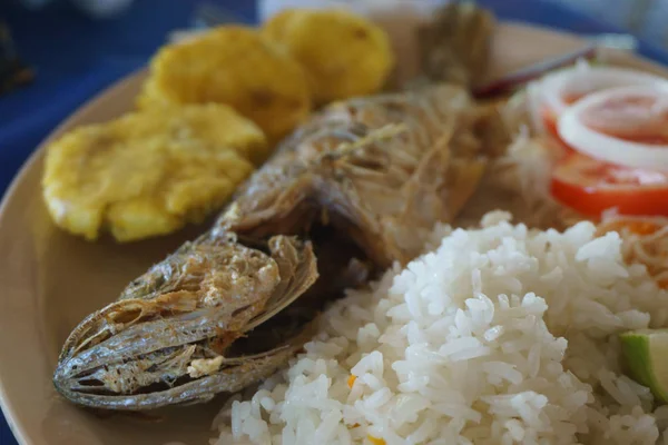 Zengin Geleneksel Yemeği Kızarmış Balık Pilav Salata — Stok fotoğraf