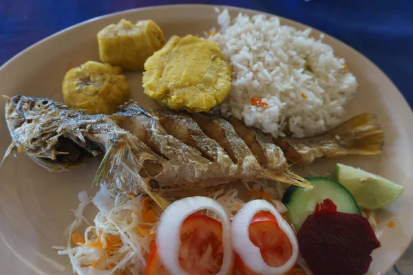 zengin geleneksel yemeği kızarmış balık, pilav ve salata