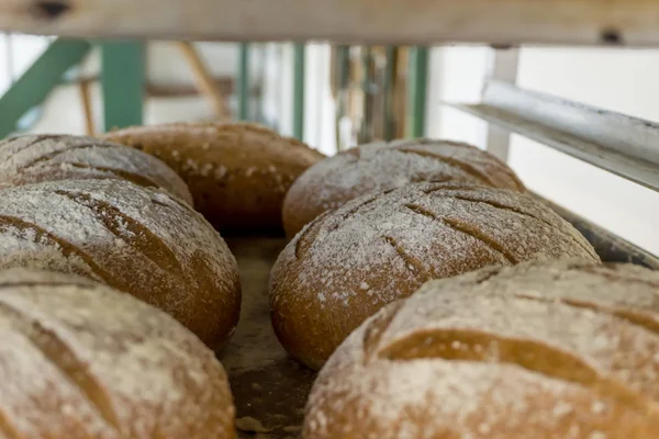 fresh French bread on a white background. A loaf of bread. Fresh pastries, white bread, flour products. Food.