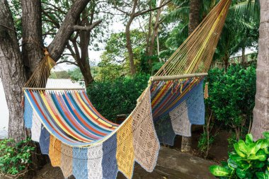 renkli hamak bahçede asılı