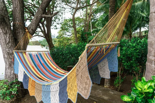 renkli hamak bahçede asılı