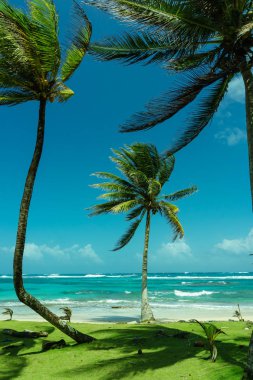 güzel Mısır plaj Nikaragua, Turkuaz su ada ve gökyüzü temizleyin