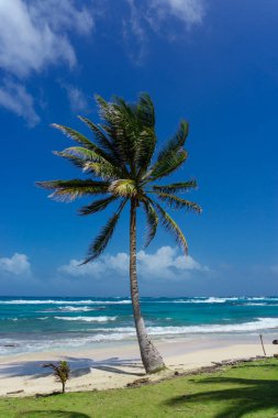 güzel Mısır plaj Nikaragua, Turkuaz su ada ve gökyüzü temizleyin