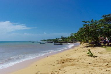 Tropikal plaj panoramik manzarası. Mısır Adası, Karayip gelen Nikaragua