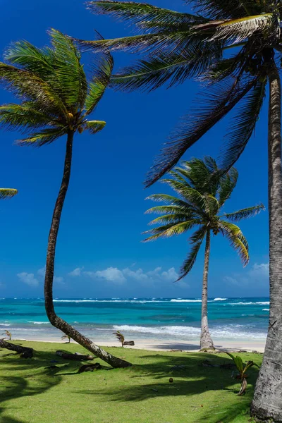 güzel Mısır plaj Nikaragua, Turkuaz su ada ve gökyüzü temizleyin