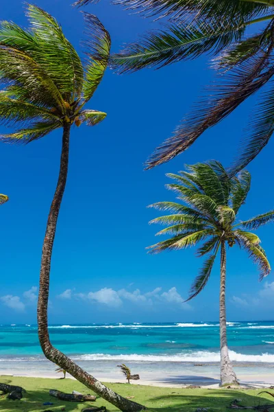 güzel Mısır plaj Nikaragua, Turkuaz su ada ve gökyüzü temizleyin