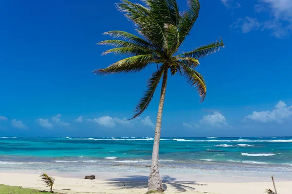 Hermosa Isla Maíz Playa Nicaragua Agua Turquesa Cielos Despejados — Foto de Stock