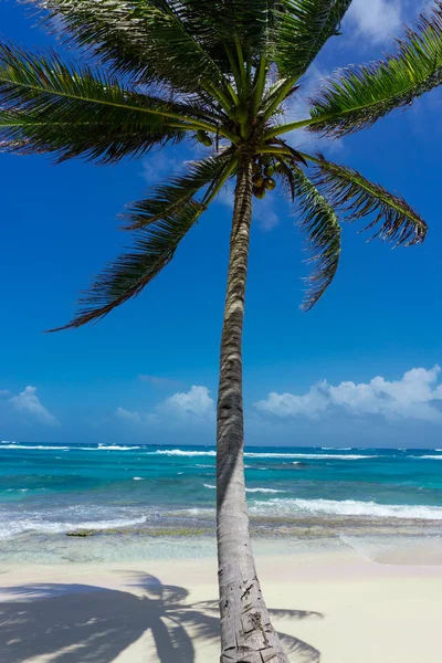 島のビーチのニカラグア 青緑色の水と澄み切った空を美しいトウモロコシ — ストック写真
