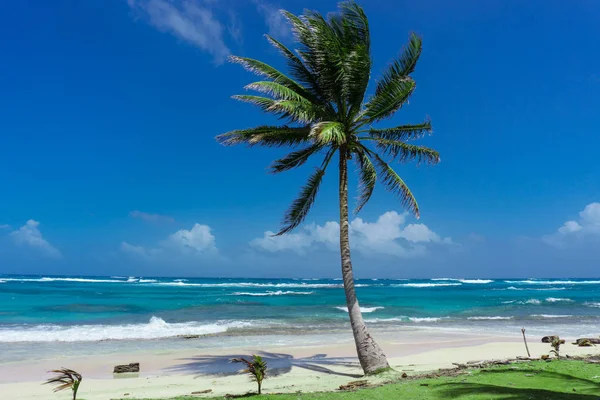 Hermosa Isla Maíz Playa Nicaragua Agua Turquesa Cielos Despejados — Foto de Stock