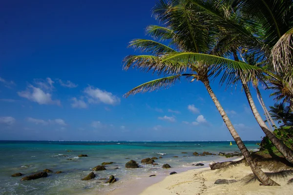 Vackra Corn Island Beach Nicaragua Turkosa Vatten Och Rensa Skies — Stockfoto