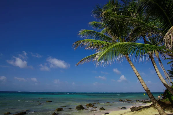 Vackra Corn Island Beach Nicaragua Turkosa Vatten Och Rensa Skies — Stockfoto