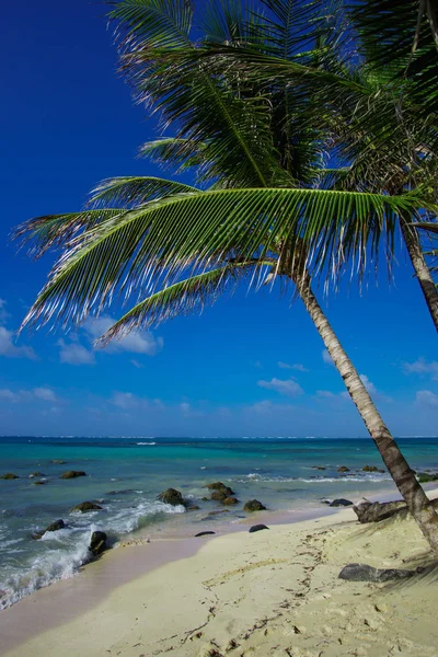 Hermosa Isla Maíz Playa Nicaragua Agua Turquesa Cielos Despejados — Foto de Stock
