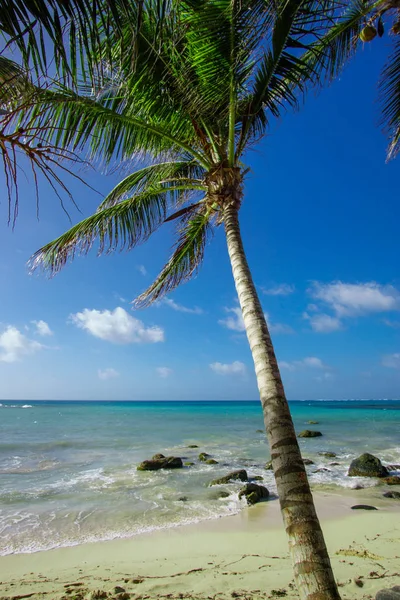 Beautiful Corn Island Beach Nicaragua Turquoise Water Clear Skies — Stock Photo, Image