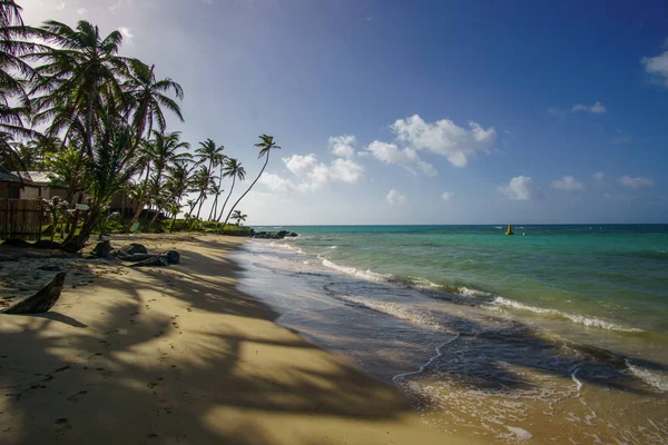 Vackra Corn Island Beach Nicaragua Turkosa Vatten Och Rensa Skies — Stockfoto