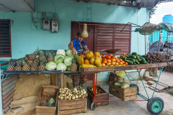 Vinales Cuba Dezember 2016 Mann Verkauft Früchte Auf Der Straße — Stockfoto