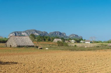 Tütün alan ve kurutma ev Vinales, Küba