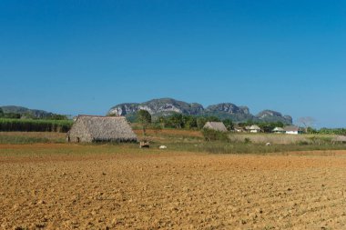 Tütün alan ve kurutma ev Vinales, Küba