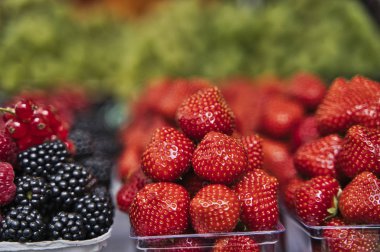Organik böğürtlen, organik markette satılık taze organik böğürtlen